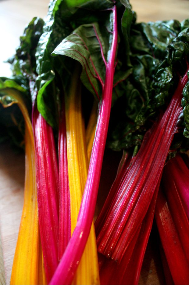 Beautiful bunch of Rainbow Chard